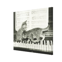 Two kitten playing on piano keyboard, (B&W) Canvas Print