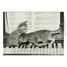 Two kitten playing on piano keyboard, (B&W) Greeting Cards
