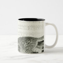 Two kitten playing on piano keyboard, (B&W) Mug