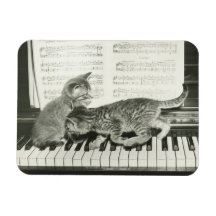 Two kitten playing on piano keyboard, (B&W) Flexible Magnets