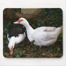Two Muscovies Mouse Pads