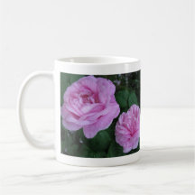two pink roses, Take time to smell the ro... Coffee Mugs
