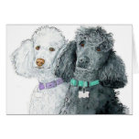 Two Poodles Greeting Cards