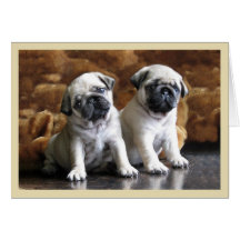 Two Pugs Greeting Card