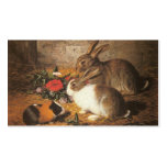 Two Rabbits and a Guinea Pig Business Card