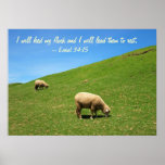 Two Sheep are Grazing on a Lush Pasture Poster