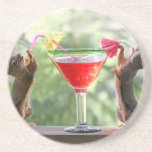 Two Squirrels Drinking a Cocktail Drink Coaster