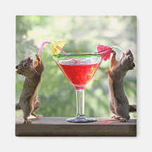 Two Squirrels Drinking a Cocktail Magnets