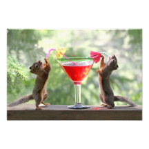 Two Squirrels Drinking a Cocktail Photographic Print