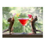 Two Squirrels Drinking a Cocktail Post Card