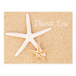 Two Starfish on a Beach Thank You Postcard