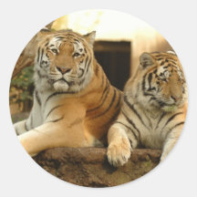 Two Tigers Round Stickers