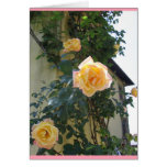 Two-tone roses card