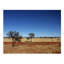 Two Trees Postcard