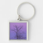 Two Trunked Tree at Sunrise; Chippewa County, Key Chain