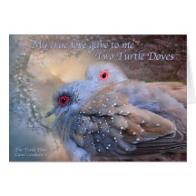 Two Turtle Doves Holiday Card