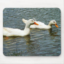 Two White Ducks Mouse Pads