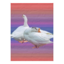 two white geese in fancy  background personalized invitations