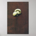Two Wild Mushrooms Print