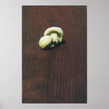 Two Wild Mushrooms Print