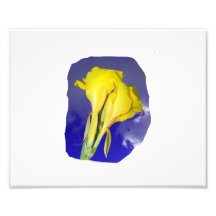 Two Yellow Flowers Blue Sky Photograph