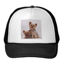 Two Yorkies Hats
