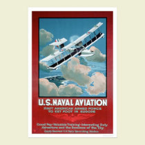 U.S. Naval Aviation (US02304) posters