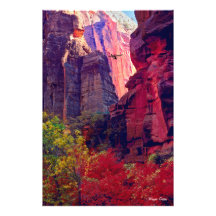 Ultralight Aeroplane Flying Through Zion Canyon Photo Art