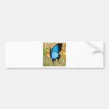 Ulysses Butterfly Bumper Sticker