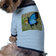 Ulysses Butterfly Pet Tee