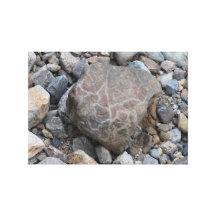 Umatilla Oregon Geology Rocks Earth History Stone Gallery Wrapped Canvas