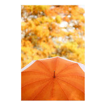 Umbrella and Autumn Colours posters