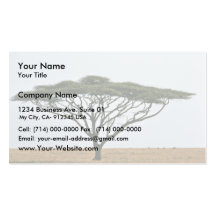 Umbrella Thorn Acacia Tree Business Cards