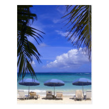 umbrellas on beach, St. Maarten, Caribbean Post Card
