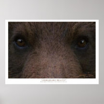 UNBEARABLE BEAUTY (Grizzly Bear) ~ Art Prints