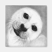 Unconditional Love Harp Seal Magnet