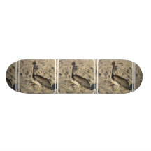 undefined skate board