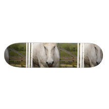 undefined skateboards