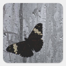 undefined square stickers