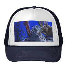 Under the Sea Mesh Hats