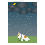 under the weather card