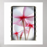 Underneath Flowers - Original Colours Posters