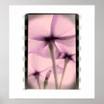 Underneath Flowers - Vintage Pinks Posters