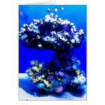 Underwater coral greeting card