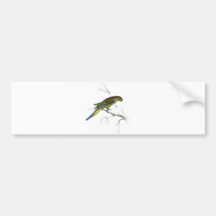Undulated Parrakeet by Edward Lear) Bumper Stickers