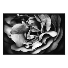 unfolding inner life art photo