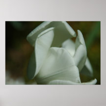 Unfolding Posters