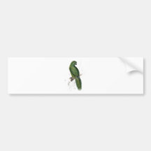 Uniform Parrakeet by Edward Lear Bumper Sticker