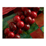 Unique Christmas wrapping decor Postcards