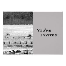 Unique Fourth of July Personalized Announcements